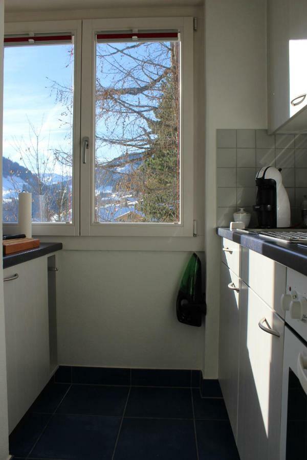 The Engstligen Adelboden Exterior foto