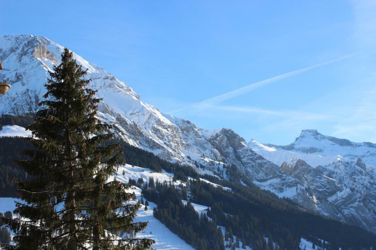 The Engstligen Adelboden Exterior foto