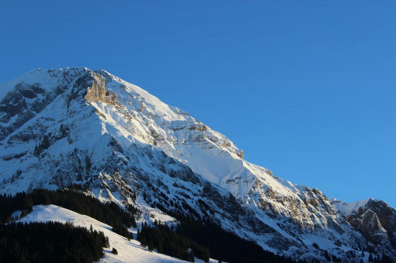 The Engstligen Adelboden Exterior foto