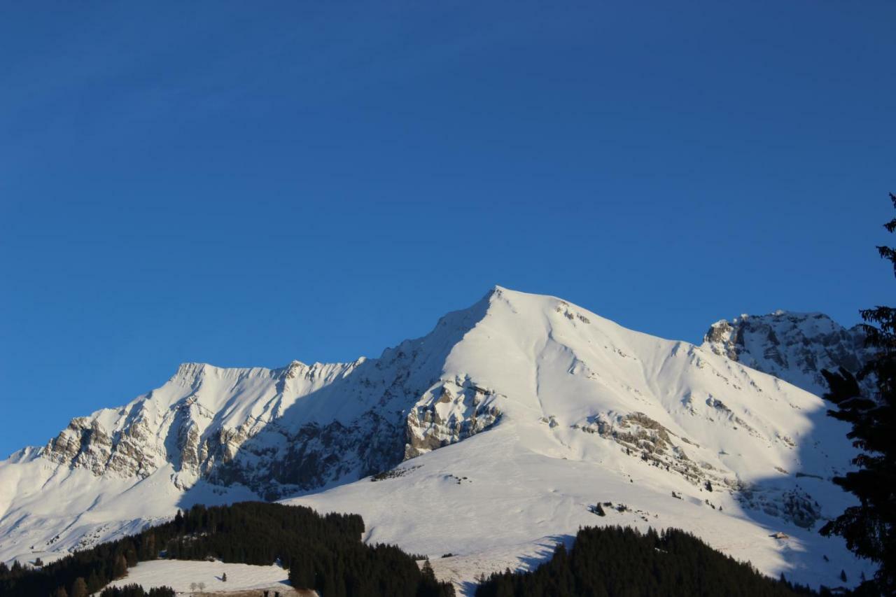 The Engstligen Adelboden Exterior foto